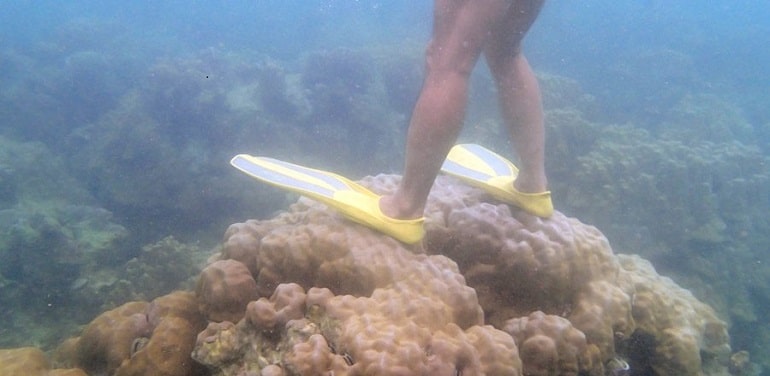 Snorkeler se tenant debout sur des coraux