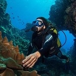 Bad practice: diver touching coral
