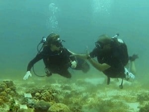 Sustainable diving - Dive guide warning and correcting a diver who was about to grab corals underwater